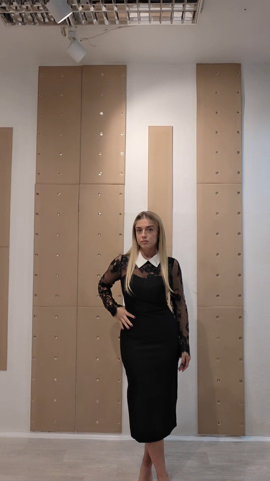 Crna elegantna haljina s čipkastim rukavima i bijelom kragnom